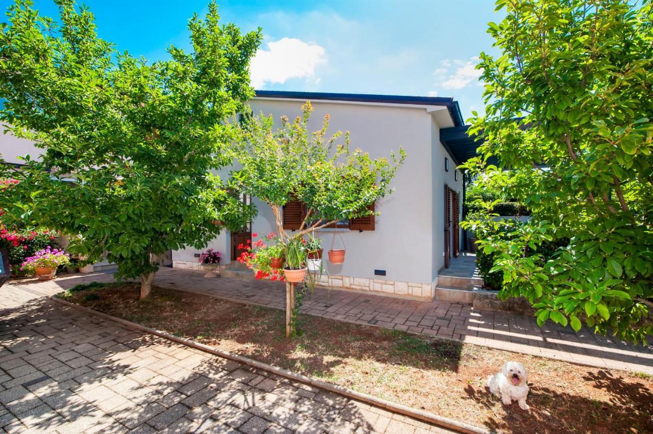 Apartments Karmen Rovinj Zewnętrze zdjęcie